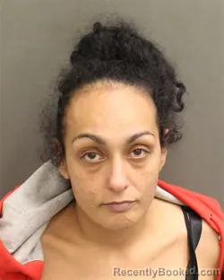 Mugshot of LILLIAN SANTIAGO