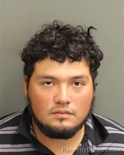 Mugshot of ALVARO GUSTAVO ALVARADODELEON