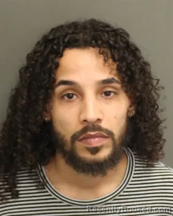 Mugshot of ANGEL LUIS FEBRES