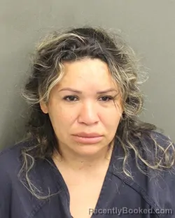 Mugshot of NINSI BANESA GALINDOHERNANDEZ