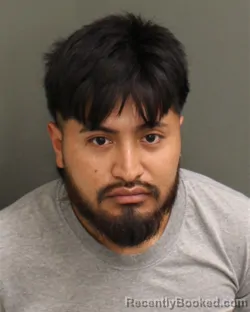 Mugshot of JOSUE ANTONIO MORALESARREAGA booked in Orange County, Florida on April 15, 2026