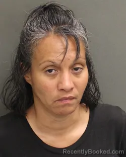 Mugshot of BETSEY ANN PUERTA booked in Orange County, Florida on April 21, 2026