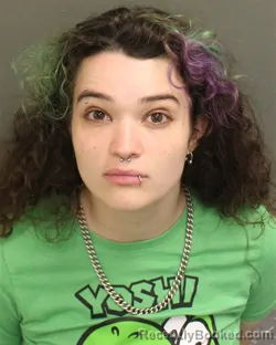 Mugshot of RACHEL LYN HERRMANN booked in Orange County, Florida on April 22, 2026