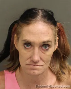Mugshot of SHANNON MARIE REAGAN booked in Orange County, Florida on April 23, 2026