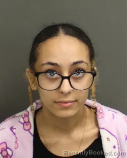 Mugshot of LENA GOUDA IBRAHIM booked in Orange County, Florida on April 24, 2026