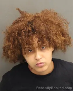 Mugshot of CHEYANNE TIANA DAVIS booked in Orange County, Florida on April 25, 2026