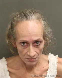 Mugshot of LISA DANELLE SINGLETARY booked in Orange County, Florida on April 26, 2026