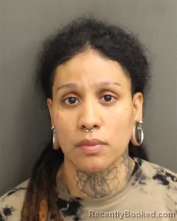 Mugshot of MARIELENA SALINAS booked in Orange County, Florida on April 26, 2026