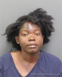 Mugshot of KAYLA ELISA SHIRLEY booked in Orange County, Florida on April 26, 2026