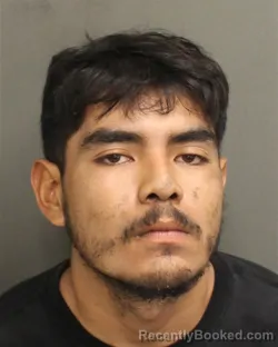 Mugshot of GEOVANY JOEL RAMOSVASQUEZ booked in Orange County, Florida on April 26, 2026