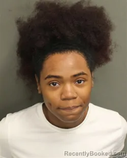 Mugshot of NAIMEYA BRIANNA WILLIAMS booked in Orange County, Florida on April 30, 2026