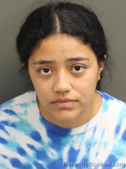 Mugshot of ROSELANE ESTHER RAMIREZ booked in Orange County, Florida on May 3, 2026