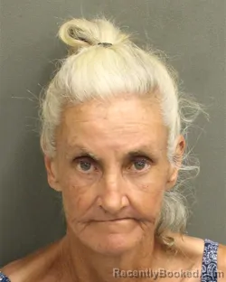 Mugshot of BARBARA ANN JOHNSON booked in Orange County, Florida on May 6, 2026