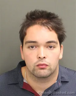 Mugshot of Anthony Luis Verzi