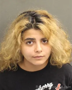 Mugshot of LUZ MARIA RODRIGUEZ booked in Orange County, Florida on May 11, 2026