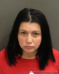 Mugshot of MARIA JUVENTINA PA BERRIOS booked in Orange County, Florida on May 12, 2026