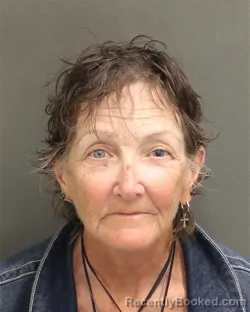 Mugshot of JILL FRANCES APPLEGATE booked in Orange County, Florida on May 13, 2026