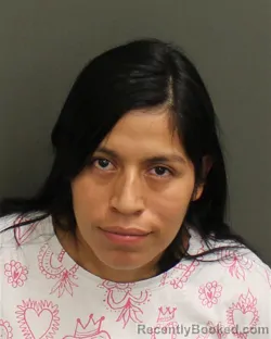 Mugshot of AMALIA HERNANDEZBAMACA booked in Orange County, Florida on May 14, 2026