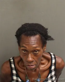 Mugshot of Amanda Sheresa Mckinnon