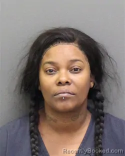 Mugshot of TRICIA ANN DAVIS booked in Orange County, Florida on May 31, 2026
