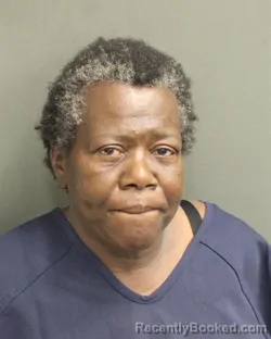 Mugshot of MATTIE MAE WILSON booked in Orange County, Florida on June 2, 2026