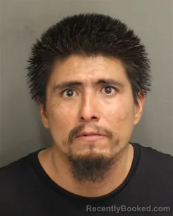 Booking photo from Orange County, Florida