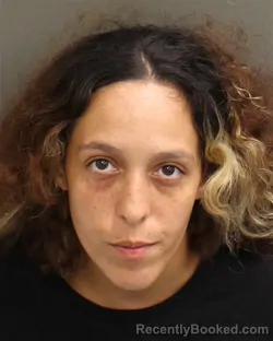 Mugshot of ELANA ROSEMARI PEREZ booked in Orange County, Florida on June 6, 2026