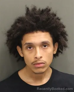 Mugshot of JAIDEN NICKOLAS FERGUSON booked in Orange County, Florida on June 14, 2026