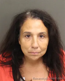 Mugshot of LISA PETRINA FISHER booked in Orange County, Florida on June 22, 2026