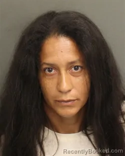 Mugshot of ASHLEY SARAH HAVENSBELL booked in Orange County, Florida on June 22, 2026