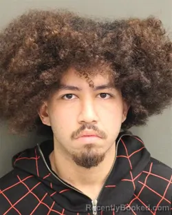 Mugshot of JAYDEN MANUEL VILORIO booked in Orange County, Florida on June 25, 2026