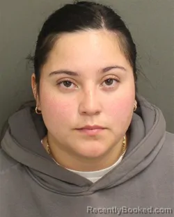 Mugshot of GABRIELA HERNANDEZBASTO booked in Orange County, Florida on June 25, 2026