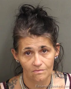 Mugshot of ERIKA LYNN WILLIS booked in Orange County, Florida on June 26, 2026