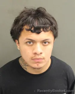 Mugshot of MIRAMON JR CEPEDAFLORES booked in Orange County, Florida on June 28, 2026