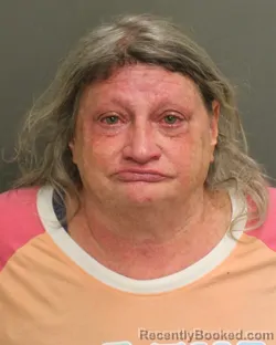 Mugshot of AMANDA JOSEPHINE HAZEN booked in Orange County, Florida on June 29, 2026