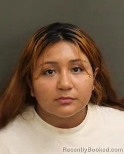 Mugshot of YARELI ROSE VEGASERVIN booked in Orange County, Florida on July 5, 2026