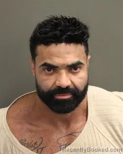 Mugshot of Marinho Freitasmeireles