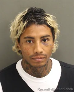 Mugshot of Christian Andres Holguin