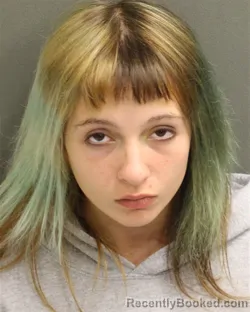 Mugshot of Trista Nicole Merkel booked in Orange County, Florida on July 23, 2026