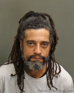 Mugshot of Aneudy Rosario booked in Orange County, Florida on July 23, 2026