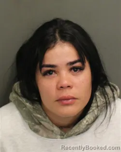 Mugshot of Fabiola Andreina Floresrojas booked in Orange County, Florida on July 27, 2026