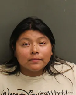 Mugshot of Mayra Selena Herrera booked in Orange County, Florida on July 27, 2026