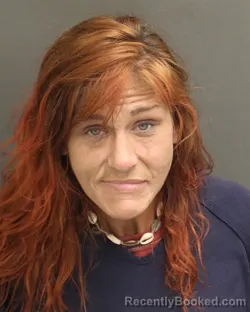 Mugshot of Joann Lavena Tyrell booked in Orange County, Florida on August 1, 2026