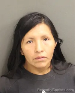 Mugshot of Johanny Vicky Ramoslaura booked in Orange County, Florida on August 3, 2026