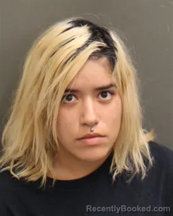 Mugshot of Lylliam Angelique Gonzalez booked in Orange County, Florida on August 11, 2026