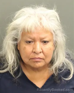 Mugshot of Vilma Roy booked in Orange County, Florida on August 11, 2026