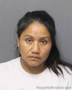 Mugshot of Romelia Domingo Godinez booked in Orange County, Florida on August 11, 2026