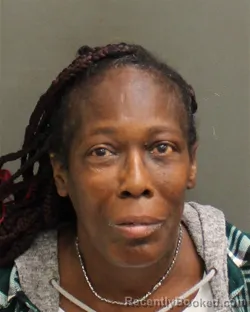 Mugshot of Barbara Ann Holmes booked in Orange County, Florida on August 13, 2026