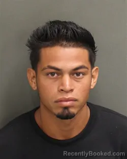 Mugshot of Mailin Arias Osorio booked in Orange County, Florida on August 16, 2026