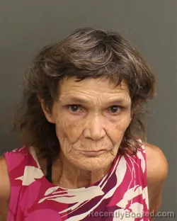 Mugshot of Dawn Rae Randall booked in Orange County, Florida on August 18, 2026